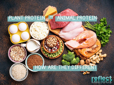 Plant Protein vs. Animal Protein: How Are They Different?